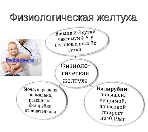 Признаки физиологической желтухи Признаки физиологической желтухи