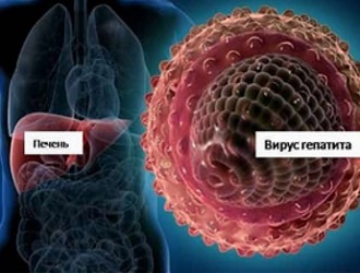 Вирус гепатита С имеет свойство меняться Вирус гепатита С имеет свойство меняться