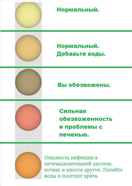 О чем говорит цвет мочи О чем говорит цвет мочи