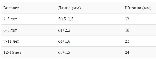 Нормы желчного пузыря для детей Нормы желчного пузыря для детей
