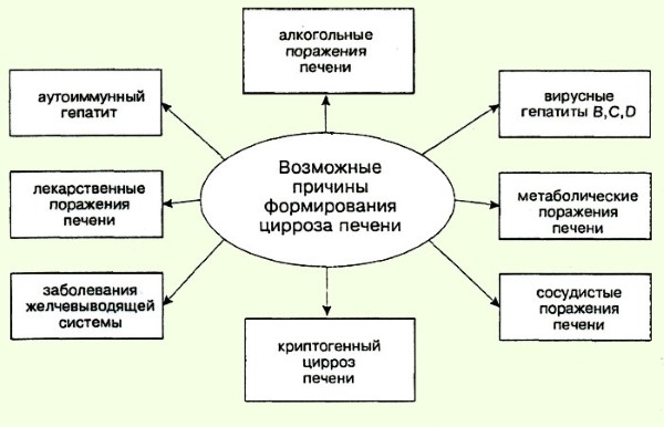 Возможные причины возникновения цирроза Возможные причины возникновения цирроза
