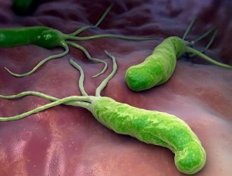 Helicobacter pylori — спиралевидная грамотрицательная бактерия, которая инфицирует различные области желудка и двенадцатиперстной кишки Helicobacter pylori — спиралевидная грамотрицательная бактерия, которая инфицирует различные области желудка и двенадцатиперстной кишки