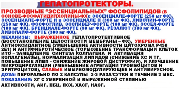 Препараты на основе эссенциальных фосфолипидов Препараты на основе эссенциальных фосфолипидов