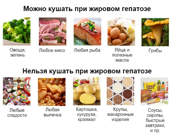 Разрешенные и запрещенные продукты при гепатозе Разрешенные и запрещенные продукты при гепатозе