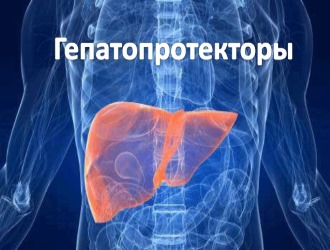 Гепатопротекторы – группа лекарственных средств, которые препятствуют разрушению клеточных мембран и стимулируют регенерацию гепатоцитов, тем самым оказывая положительное влияние на функции печени Гепатопротекторы – группа лекарственных средств, которые препятствуют разрушению клеточных мембран и стимулируют регенерацию гепатоцитов, тем самым оказывая положительное влияние на функции печени