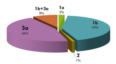 Как видно на изображении, 3 генотип вируса гепатита С является наиболее распространенным среди других видов