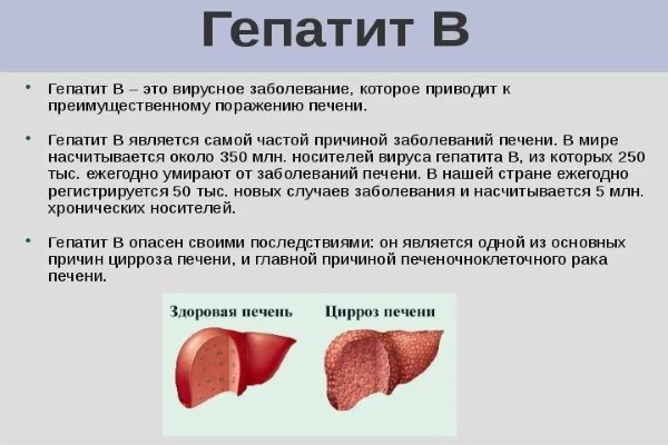 Характеристика Гепатита В Характеристика Гепатита В