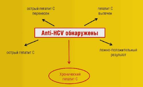 Как видно, результаты анализов могут трактоваться по-разному, могут потребоваться дополнительные исследования