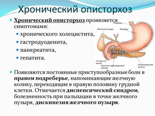 dietaopist_hron.jpg