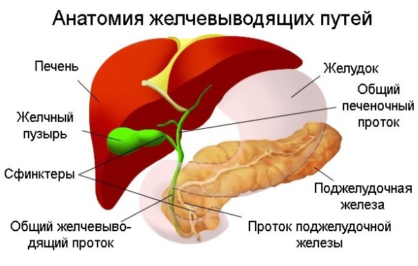 Система