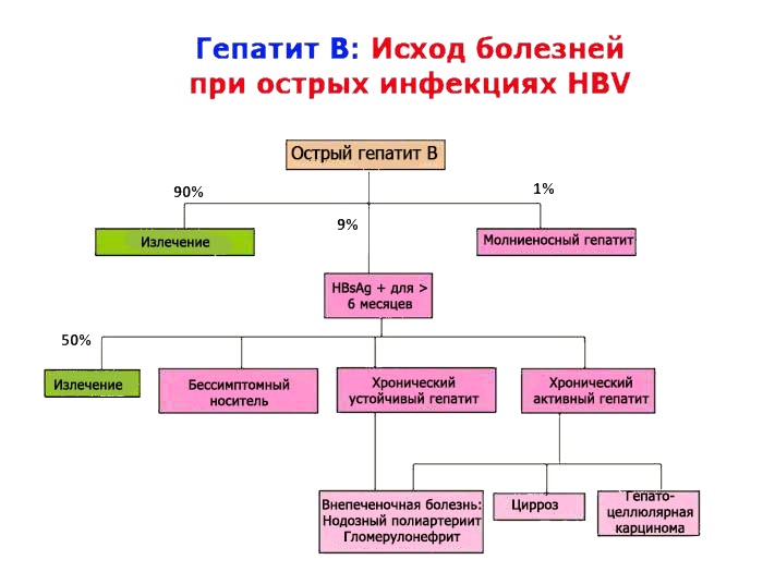 Схема последствий гепатита В