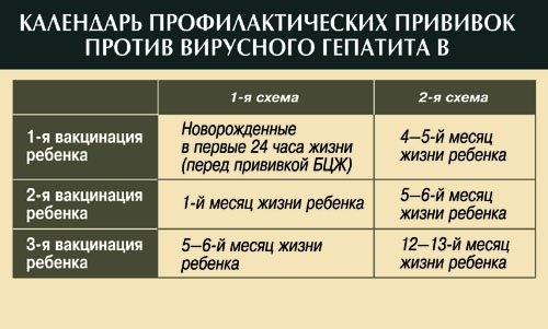 Календарь профилактических прививок от гепатита В Календарь профилактических прививок от гепатита В