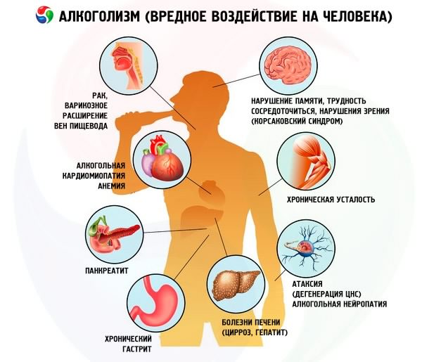 Влияние алкоголя на организм