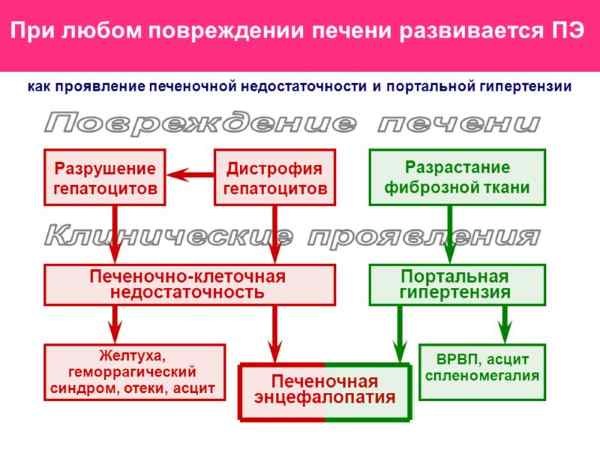 Развитие печеночной энцефалопатии