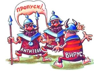 Антитела призваны для защиты организма от антигенов вируса