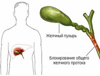 В буквальном переводе слово В буквальном переводе слово