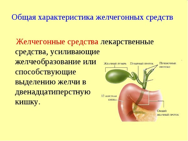 Общая характеристика желчегонных средств Общая характеристика желчегонных средств
