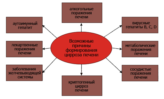 Причины появления цирроза