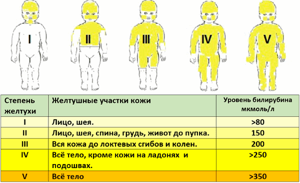 neonzh_kramar.png