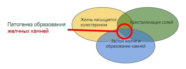 Образование