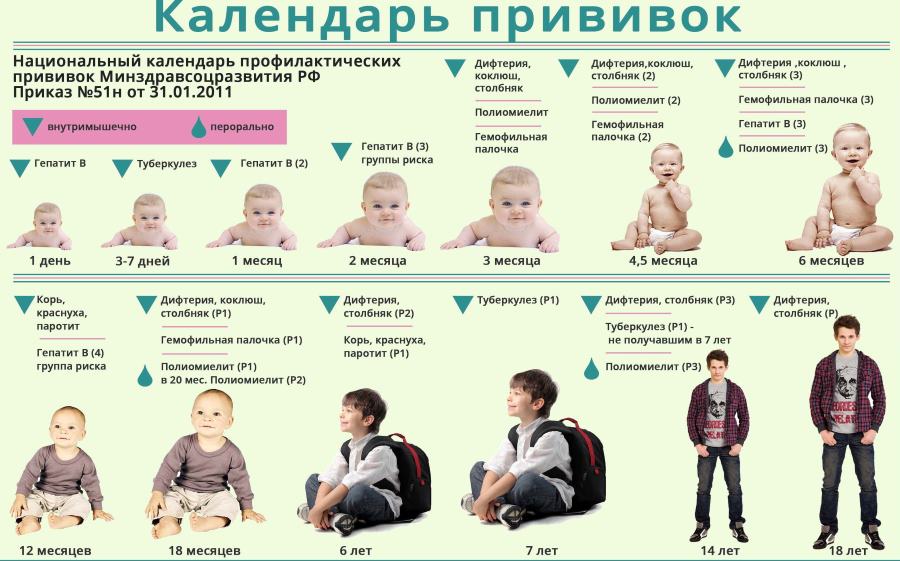 Календарь вакцинаций содержит график прививок не только от гепатита, но и от других заболеваний