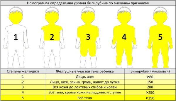 zhunov_big.jpg