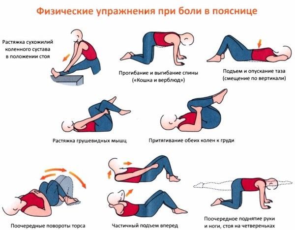 Один из комплексов упражнений Один из комплексов упражнений