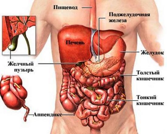 Поражение затрагивает даже внутренние органы Поражение затрагивает даже внутренние органы
